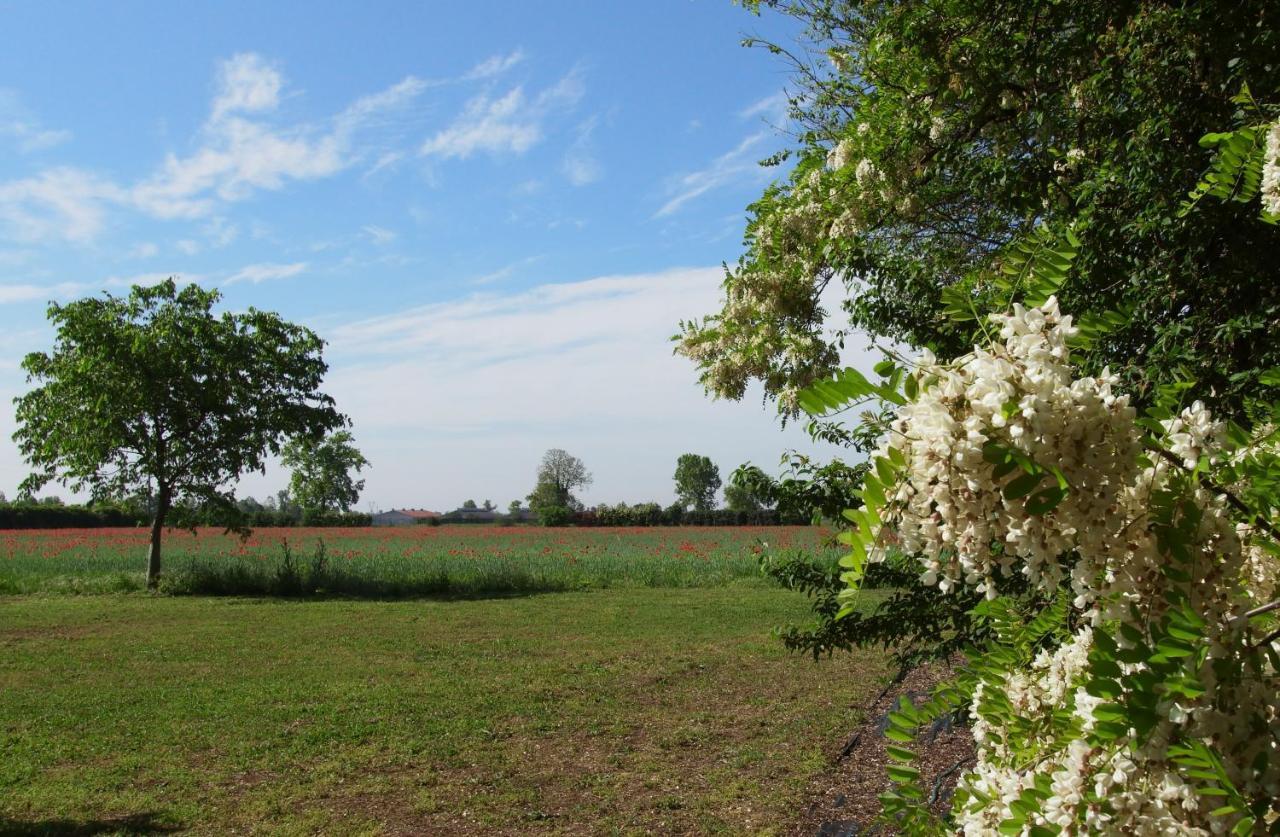 Agriturismo Fiorbello Montirone Экстерьер фото